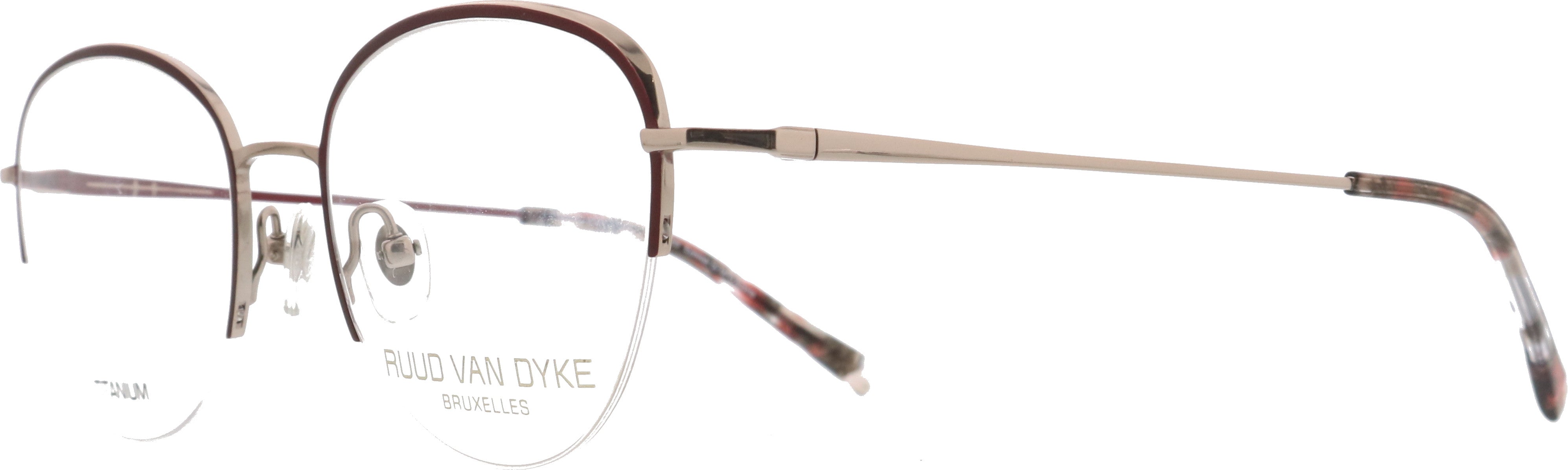 Ruud van Dyke 1293 rot