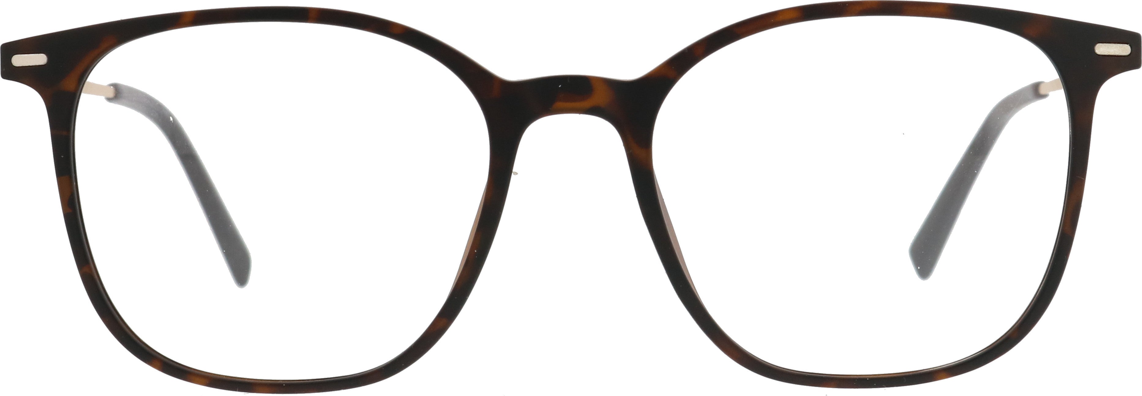 Sunoptic 194 havanna braun